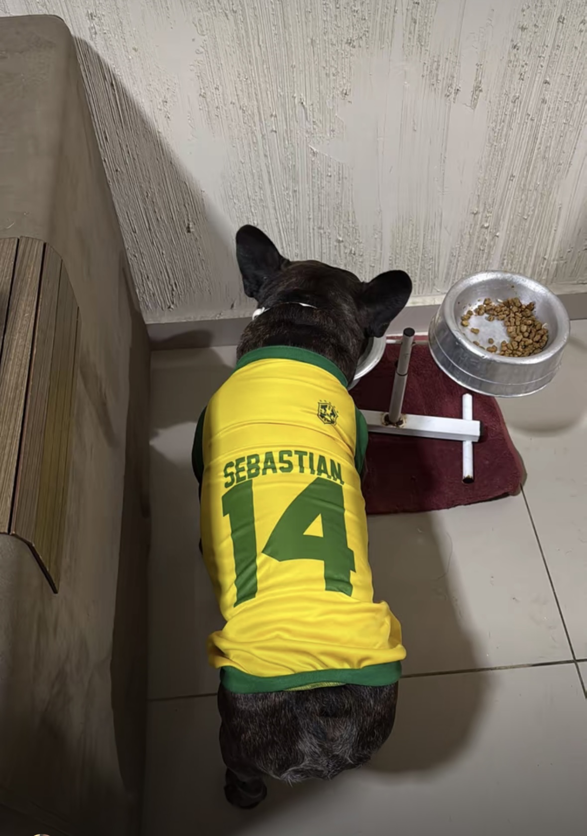 Pet com camisa da Seleção