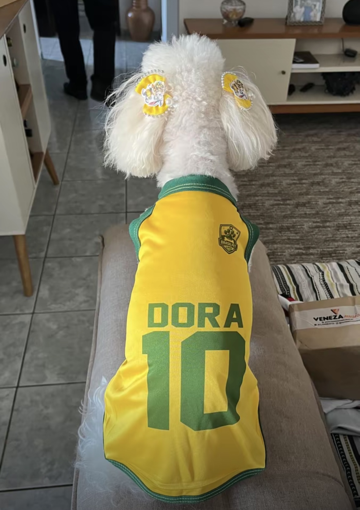 Pet com camisa da Seleção